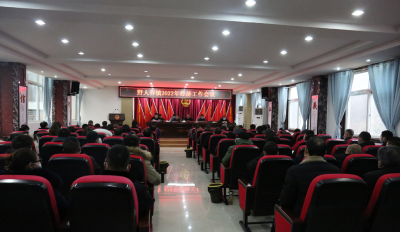 解放思想  创新实干  谱写野人谷新篇章——野人谷镇召开2022年度经济工作会