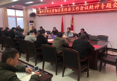 姚坪乡专题传达学习全县经济工作会议精神
