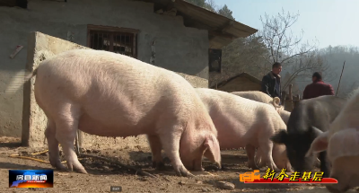 【新春走基层】邵勇来的春节生活