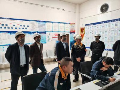 谢晓鸣一行赴中国铜业集团考察洽谈合作