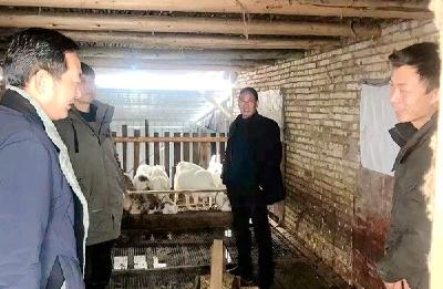 县畜牧兽医服务中心  全力以赴做好雨雪天气畜禽养殖安全防范应对工作