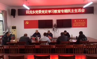 回龙乡党委召开党史学习教育专题民主生活会