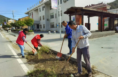 土城镇：环境治理人人抓 宜居乡村处处花