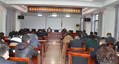 县农业农村局传达贯彻全县经济工作及系列会议精神