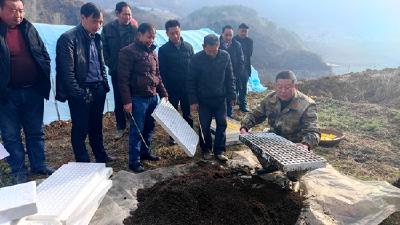 九道乡：人勤春来早 烟叶育苗忙