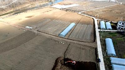 房州味道：精心打造“共享菜园” 