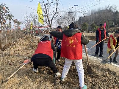 军店镇：植树造林正当时，绿满家园不负春
