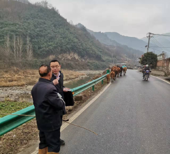 房县委政法委驻村工作队： 做到“三个坚持”，拓展帮扶成效