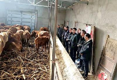 县畜牧兽医服务中心  开展“五大行动”抓实春季畜牧生产