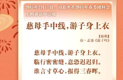 学习进行时丨“典”亮新春——习近平新春祝福中的绝美诗句 