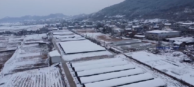 尹吉甫镇：节后收心归位  起步奋进冲刺