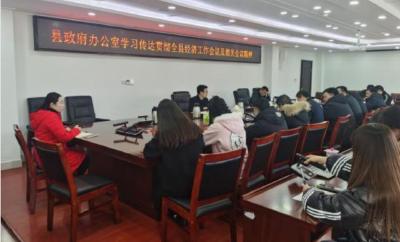 政府办公室学习贯彻全县经济工作会议及相关会议精神