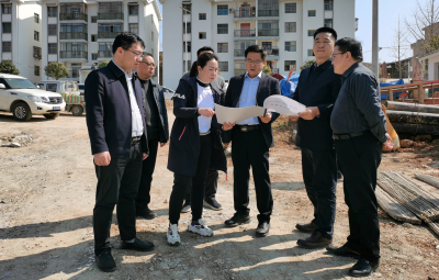 谢晓鸣调研青峰土城大木乡镇工业园建设