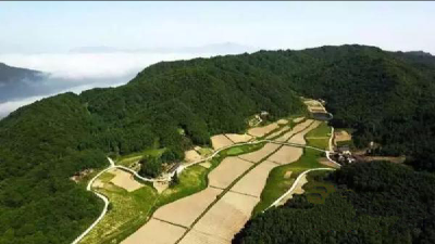 房县万峪河乡：人勤春来早 环境整治正当时