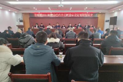 青峰镇召开2021年度党组织书记抓基层党建述职评议会