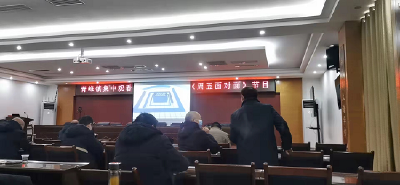 青峰镇：组织镇村干部观看电视问政《周五面对面》