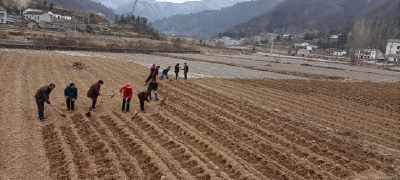 上龛乡：不负好时光，春耕备耕忙