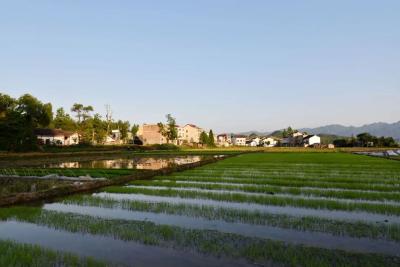 房县120支驻村工作队助力乡村振兴