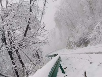 三月飞雪遇春花，房县雪景美如画......