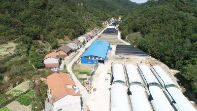 沙河乡：党建搭台，演奏乡村振兴大戏