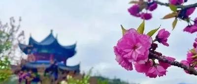 房县：推进“清廉村居建设”赋能乡村振兴