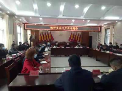 姚坪乡出台六条意见  全力打造“水乡姚坪，茶旅小镇”发展格局