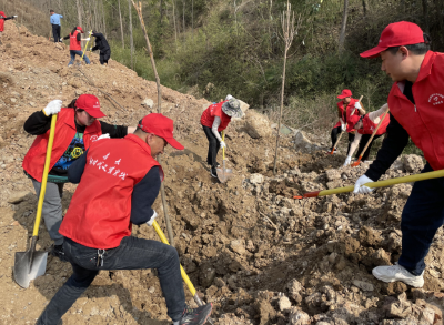 红塔镇财政所：积极参与植树节活动