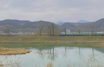 五台乡：六个“再强化”加强非洲猪瘟防控