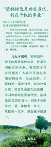 时习之 多种树 种好树 习近平厚“植”绿色期望