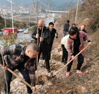 县发改局：开展植树造林活动