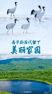 
为子孙后代留下美丽家园——习近平总书记关心推动国土绿化纪实