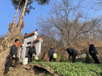 县卫健局：开展“绿化环境 扮靓村庄＂活动