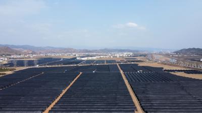 军店镇“三抓三促”培育壮大羊肚菌产业