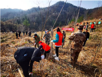 土城镇：又是一年春光好 植树造林正当时