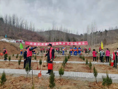 化龙堰镇：春来植树正当时 绿满乡村在行动