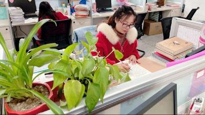 【榜样的力量】房县实验小学第二届“四有”老师事迹展播(六）《坚守教育初心 浇灌孩子成长——房县实验小学李小燕》 