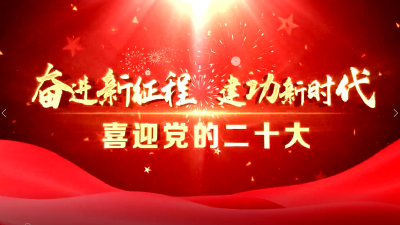 【喜迎党的二十大】湖北城源科技：垃圾“变废为宝”  奋力实现税收6亿元目标