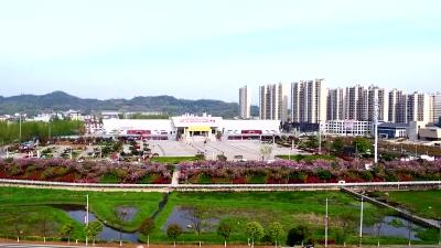 今天，让我们细数春天的节拍，聆听房陵大地花开的声音，与春天同行