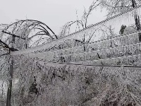三月飞雪遇春花，房县雪景美如画......