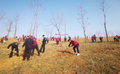 回龙乡：乡村添绿正当时