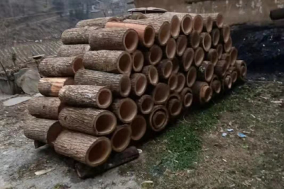 门古寺镇 打造蜜蜂产业 助推乡村振兴