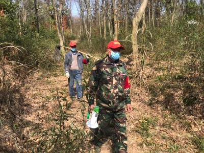化龙堰镇:突出“早”字 吃下森林防火“定心丸”