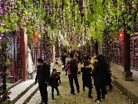 房县西关街：灯火璀璨 游人如织