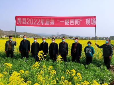 房县举办2022年油菜“一促四防”现场会