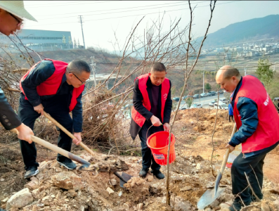 又是一年春光好 房县畜牧义务植树忙