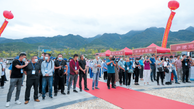 玉碗盛来琥珀光 ——湖北庐陵王酒业有限责任公司发展走笔