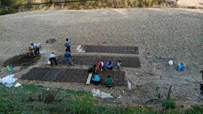 县卫健局驻村工作队：大力发展高山蔬菜 赋能乡村产业振兴 