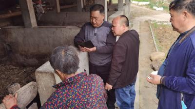 尹吉甫镇：打好春季动物防疫战  筑牢畜牧防疫防护网