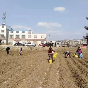 中坝乡：六有产业格局 助推乡村振兴