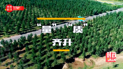 时政Talk丨带你重新认识植树这件事
